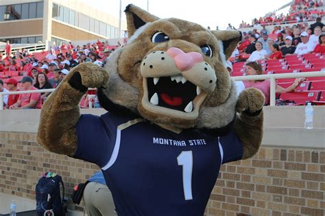 Striving for Excellence: How the Montana State Mascot Represents the School's Commitment to Success